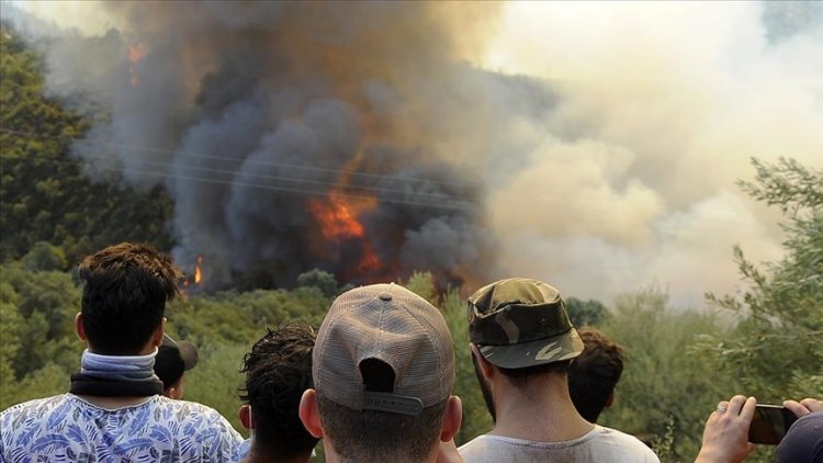 Cezayir'deki orman yangınlarıyla ilgili 22 kişi gözaltına alındı