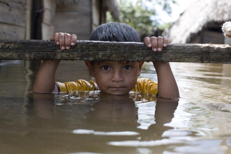 UNICEF: Bir milyar çocuk iklim krizi nedeniyle 'yüksek risk' altında