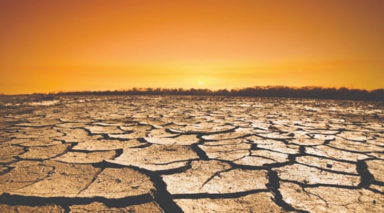 Kazakistan’da iklim krizi: 178 bin hektar tahıl alanı kurudu