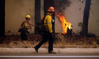 California'da orman yangını otoyola sıçradı