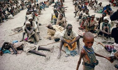IRC duyurdu: Kenya'da 2,1 milyon kişi açlıkla karşı karşıya