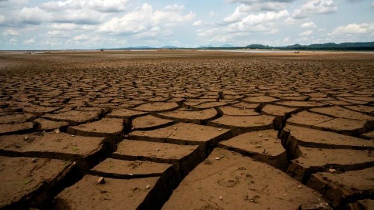 Kenya'da kuraklık yaşanan bölgelerde ulusal afet ilan edildi