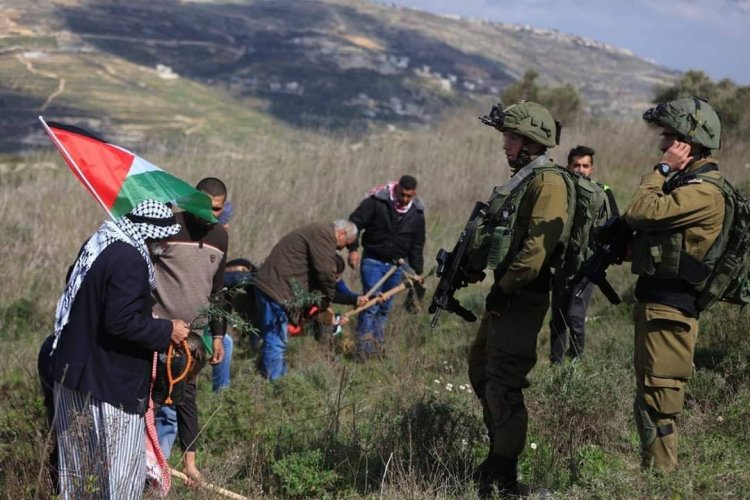 İşgalci İsrail Batı Şeria'da 48 bin dönüm Filistin toprağına el koydu