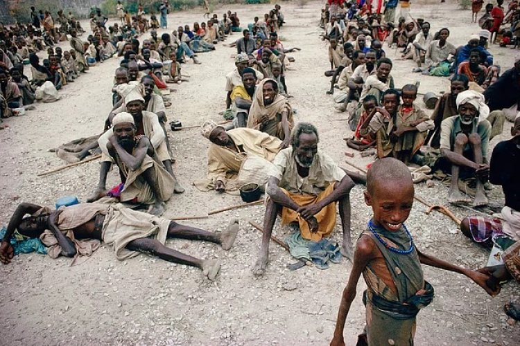 IRC duyurdu: Kenya'da 2,1 milyon kişi açlıkla karşı karşıya