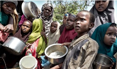 Nijerya'da 10 milyondan fazla yerinden edilmiş kişi gıda güvensizliğiyle karşı karşıya
