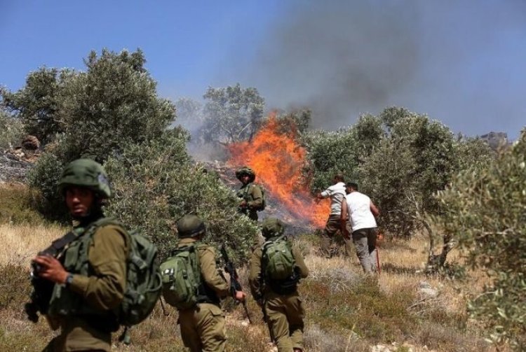 Sivil Yahudi işgalciler Filistinlilere ait zeytin ağaçlarını ateşe verdi