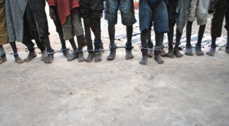 Belçika'da sömürge raporu: Kongo'da verilen hasarı ölçmek imkansız, ancak maddi tazminat yoluyla telafi edilmeli