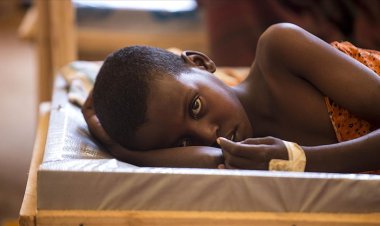 Nijerya'da kolera salgını Kovid-19'dan daha çok öldürüyor