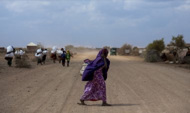 Somali'den ölümcül kuraklığa karşı küresel yardım çağrısı