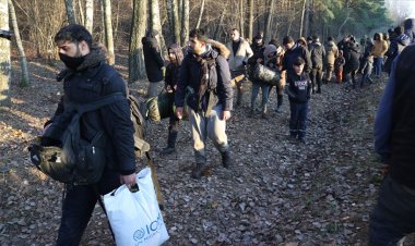 Koşulları zorlaşan Belarus-Polonya sınırındaki göçmenlerin sayısı artıyor