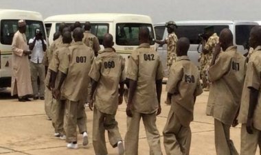 Nijerya: 14 bin 500'den fazla Boko Haram üyesi teslim oldu