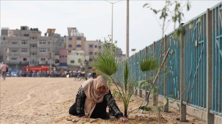Gazze'de İşgalci İsrail'in saldırılarında katledilen çocuklar için ağaç dikme kampanyası