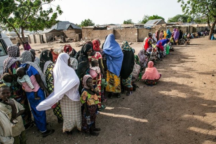 Nijerya'da 11 milyon kişi insani yardıma muhtaç