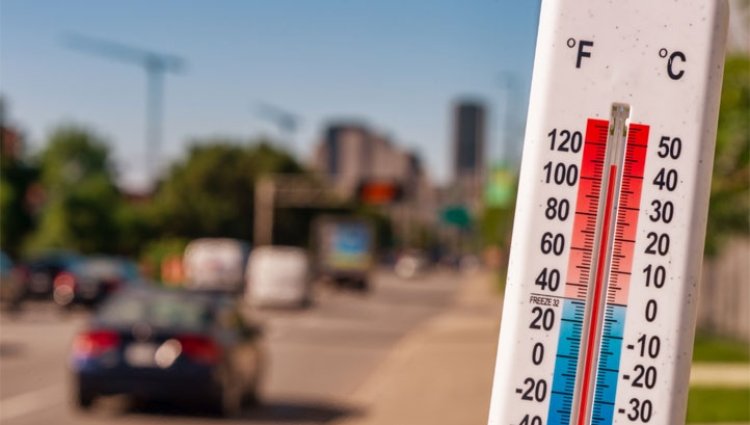 Rapor: 2021, 1880'den bu yana yaşanan en sıcak 10 yıldan biri olabilir