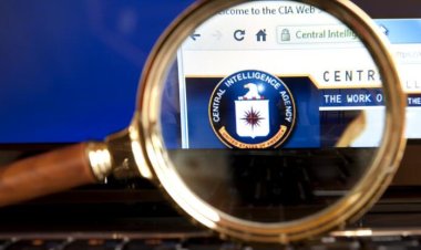 Kan donduran rapor: CIA kendi çalışanlarının çocuk istismarını gizliyor
