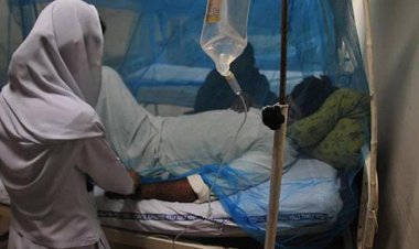 Nijerya'da Lassa ateşinden 80 kişi öldü