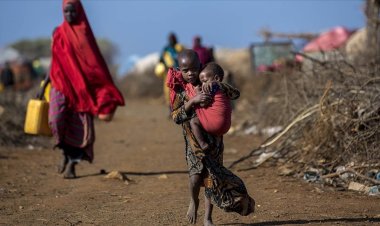 Somali’de kuraklığın çözümü 'yatırım' ve 'baraj'