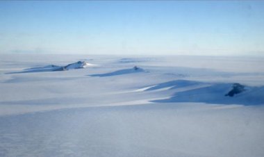 Antarktika'da yeni keşif: Buzun altında 77 canlı türü bulundu