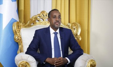 Somali Cumhurbaşkanı Fermacu, Başbakan Roble'yi açığa aldı