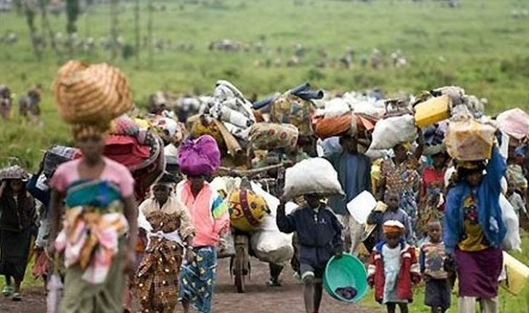 Kamerun'da çatışmalardan kaçan 70 binden fazla kişi Nijerya'ya sığındı