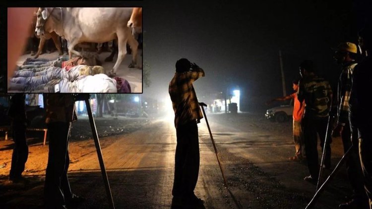 Müslümanları vahşice katlediyorlar: Mesele yine inekler