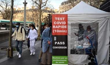 Avrupa'da vaka sayıları rekor kırıyor