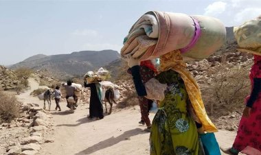 Uluslararası Göç Örgütü: Yıl başından bu yana yaklaşık 16 bin Yemenli yerinden edildi