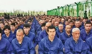 "İslam dünyası Doğu Türkistan'da yaşananları soykırım olarak tanımalı"