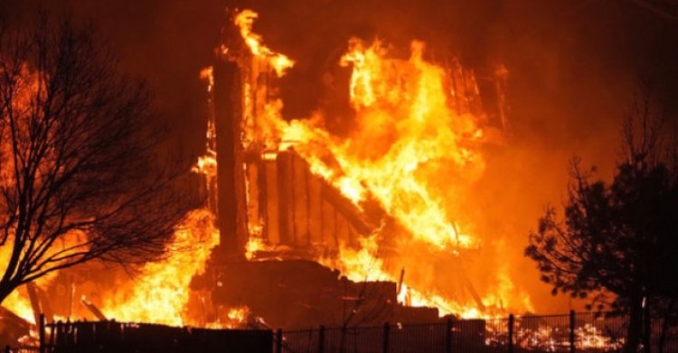 ABD'de ki orman yangını 513 milyon dolarlık hasara neden oldu