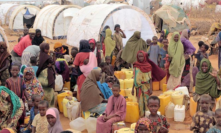 IOM: Somali'de son 40 yılın en ağır su kıtlığı yaşanıyor