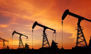Nijerya'dan Türkiye'ye petrol ve doğal gaz çağrısı