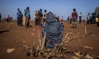 DSÖ, Somali için acil yardım çağrısı yaptı