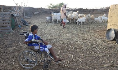 Yemen'de çobanlık yapan çocukların korkulu rüyası: Mayınlar