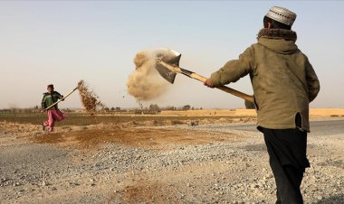 Afganistan'da bombaların tahrip ettiği yolları çocuklar onarıyor
