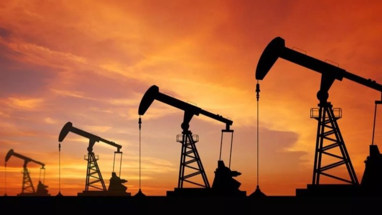 Nijerya'dan Türkiye'ye petrol ve doğal gaz çağrısı