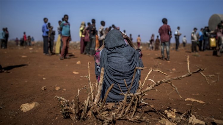 Somali'den kuraklık nedeniyle göç eden kişilerin sayısı artıyor