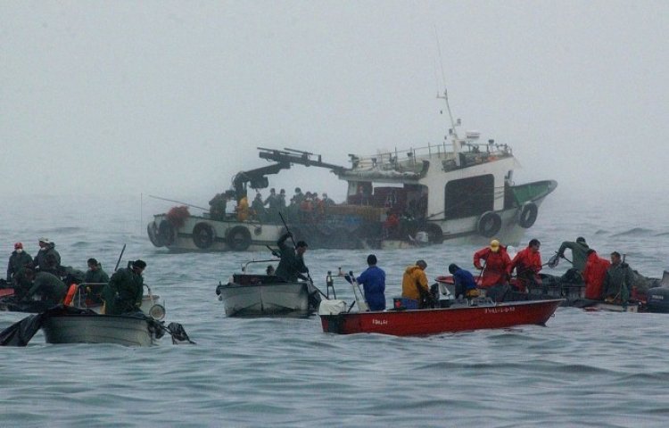 Kanada’da balıkçı teknesi battı: 7 ölü, 14 kayıp