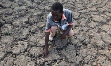İklim değişikliği Afrika'nın tarım ürünlerine zarar veriyor