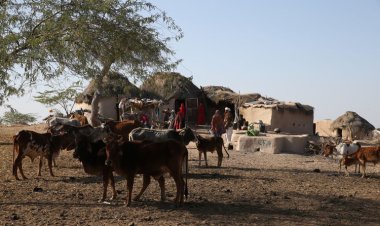 Pakistan çöllerinde yaşayan Rohiler, zorluğa rağmen ata topraklarını terk etmiyor