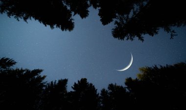 Ramazan ayında kazandığımız maneviyatı diğer 11 aya da yaymalıyız