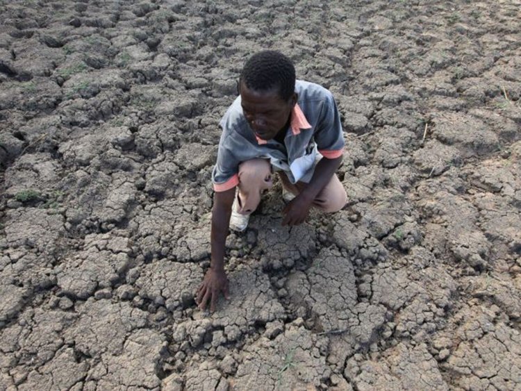 "Zambiya'da uzun süren kuraklığın yol açtığı yıkım çok büyük"