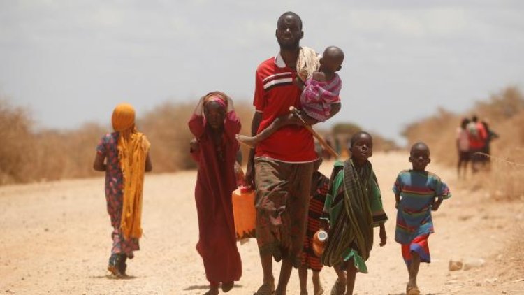 Doğu Afrika'da kuraklık sebebiyle milyonlarca kişi açlık krizinin eşiğinde