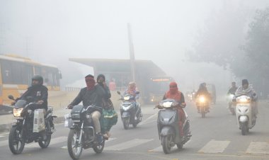 DSÖ: Dünya nüfusunun yüzde 99'u sağlıksız hava soluyor