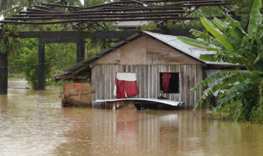 Filipinler'deki sel ve heyelanlarda can kaybı 28'e yükseldi
