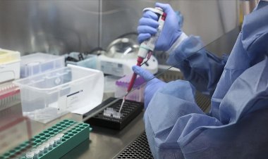 Dünyada gizemli hepatit vaka sayısı 190'a yükseldi