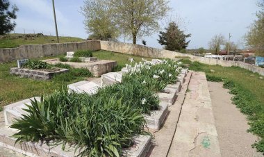 Çocuk yaşta hainlerin tekerine çomak sokan şehid: Tevfik Demir