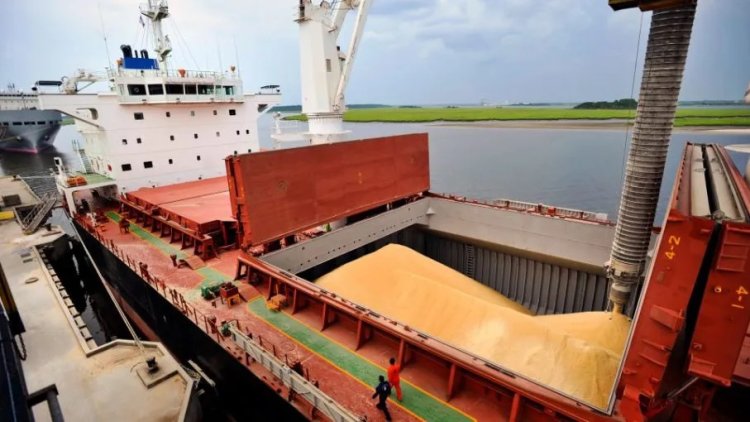 Ukrayna limanlarında 4,5 milyon ton tahıl mahsur