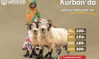 Avrupa Yetim Eli 'Kurban' çalışmalarına başladı