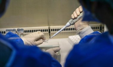 DSÖ: Dünyada binin üzerinde maymun çiçeği vakası var