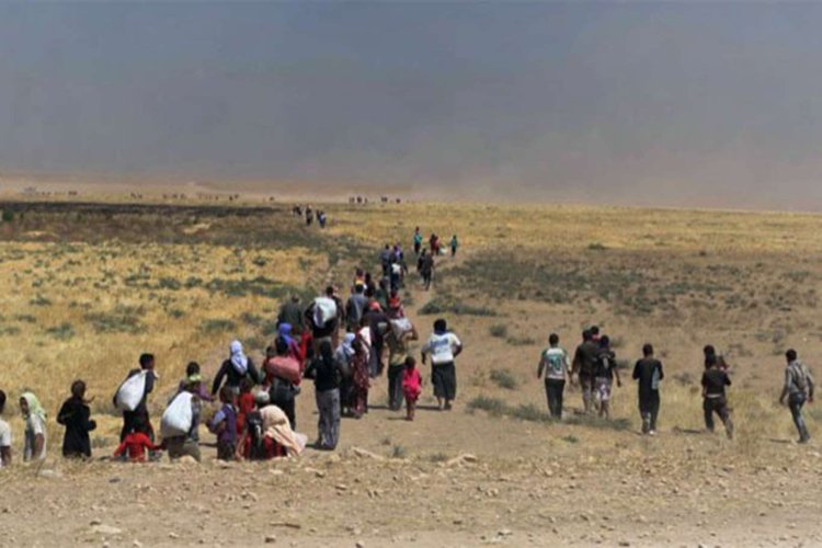 Şengal'deki çatışmalardan dolayı binlerce kişi göç etti